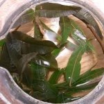 tea3